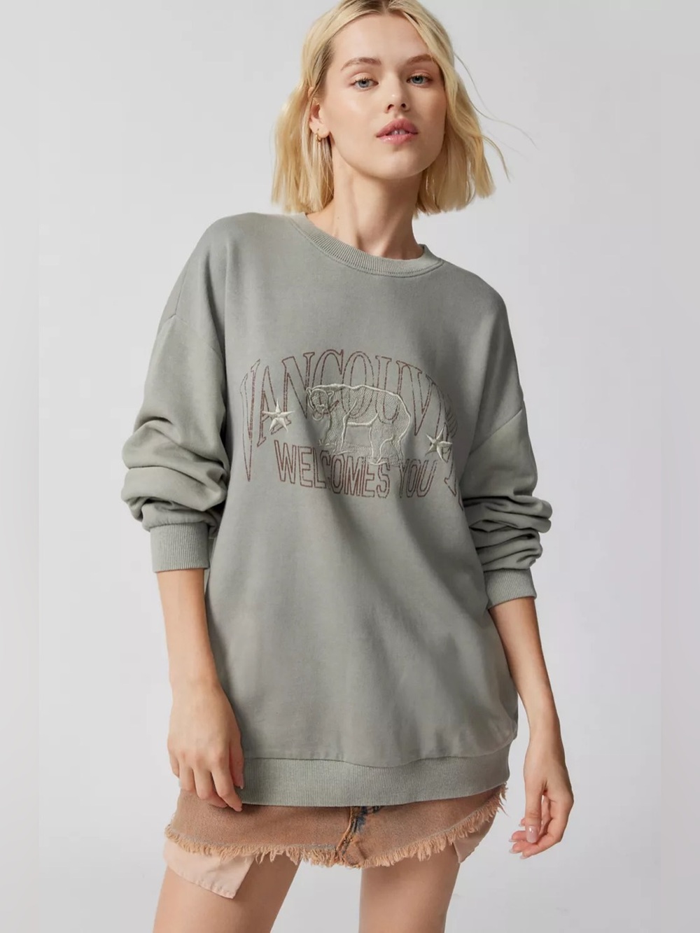 Urban Outfitters Embroidered Pullover Sweatshirt Size Large